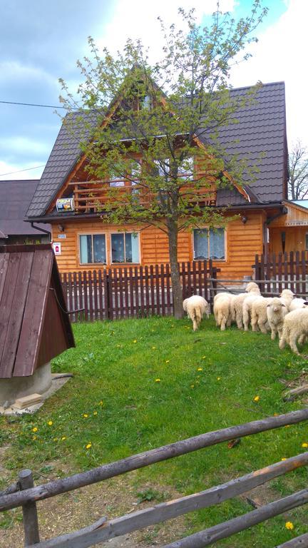 Pokoje U Sarnowskich Kościelisko Εξωτερικό φωτογραφία